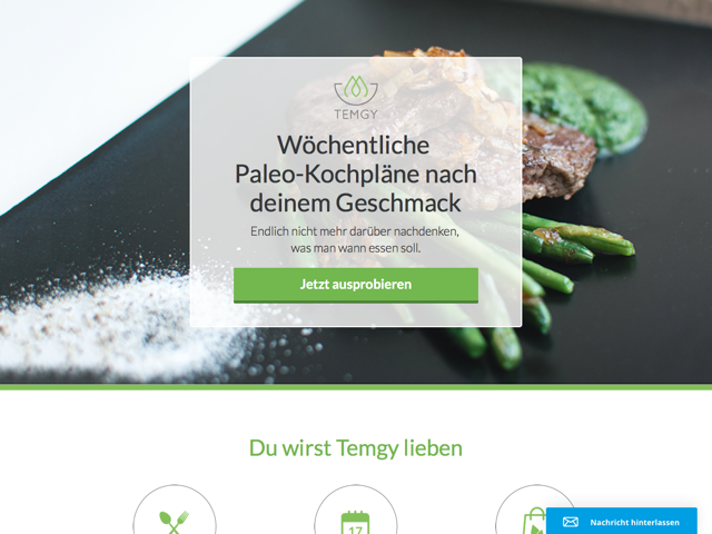 Temgy Screenshot